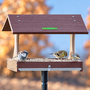 Duncraft Birdwatcher's Platform Feeder with Pole, showing birds perched and feeding on the open-view platform feeder, supported by a tall sectional pole.