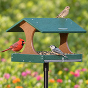 Duncraft Bird Watcher's Post Feeder with green roof on a pole, showcasing feeding Northern Cardinal, white-breasted nuthatch, and female house finch.