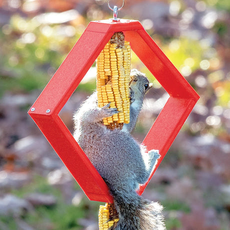 Duncraft Spinning Squirrel Feeder with a gray squirrel gnawing on corn, mounted on a red hexagonal frame, designed to distract squirrels from bird feeders.