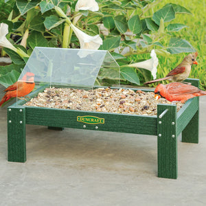 Duncraft Open Air Covered Ground Platform Feeder with clear canopy, green composite lumber, and mixed seeds. Three Northern Cardinals perched, showcasing easy access and weather protection.