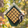 Downy woodpecker clinging to a green suet feeder filled with a seed suet cake beneath a clear roof.