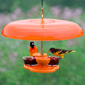 Orange bird feeder with two birds perched on it against a blurred green background