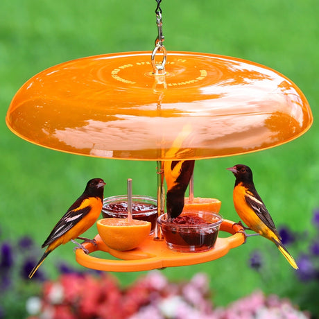 Orange bird feeder with three birds perched on it against a green background