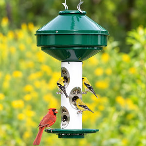 Heavy-Duty Bird Feeder with green top/base, white tube. Holds 18 lbs seed. Features 6 feeding ports, visible with goldfinches, cardinal perched. Ideal for varied bird sizes.