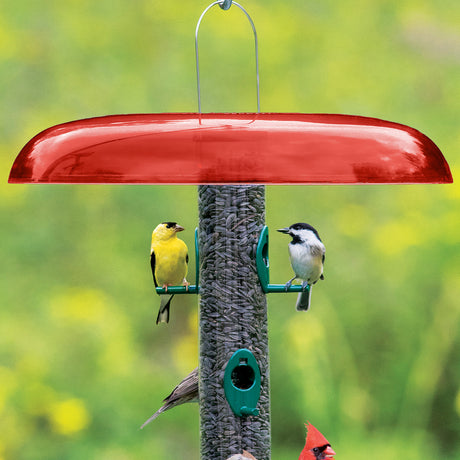 Duncraft Red Slot Baffle atop a tube-style bird feeder, filled with sunflower seeds, featuring goldfinch and chickadee on green ports, ensuring seed stays dry.