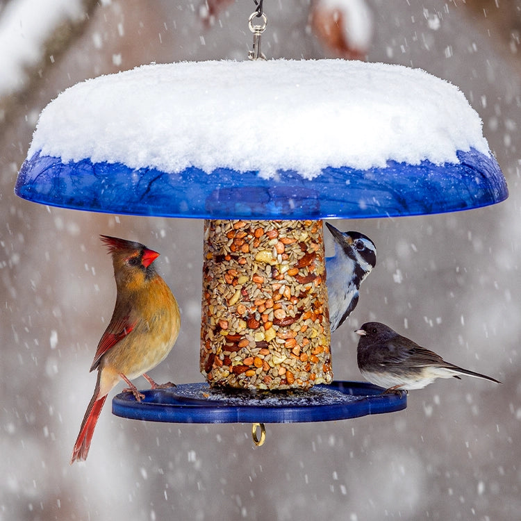 Duncraft Blue Baffled Seed Cylinder Bird Feeder holds mixed seeds, attracting a Cardinal, Woodpecker, and Junco, with snowflakes hinting at winter.