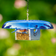 Duncraft Baffled Bluebird Mealworm Bird Feeder with blue roof, tray stocked with mealworms, and a songbird perched, against a blurred green yard backdrop.