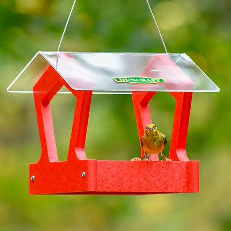 Duncraft Heritage Platform Bird Feeder, Red, with Clearview roof and yellowish-green songbird, showcasing its open design and sturdy construction in a garden setting.