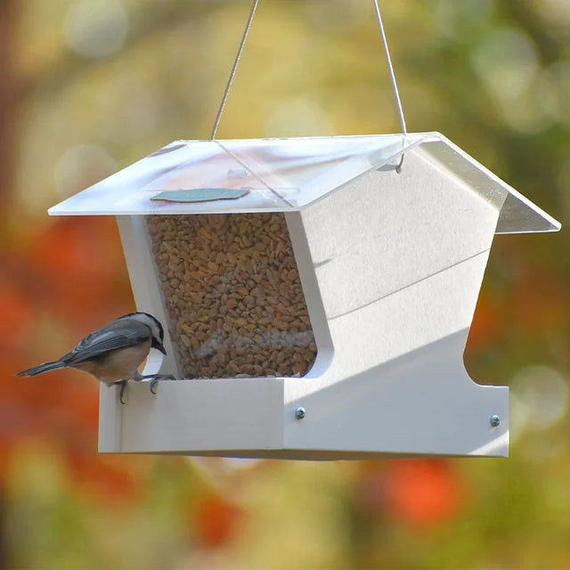 Duncraft Heritage Hopper Bird Feeder, White: Small bird pecks seeds from house-shaped feeder with clear panel, metal mesh floor, and weather-protective roof.