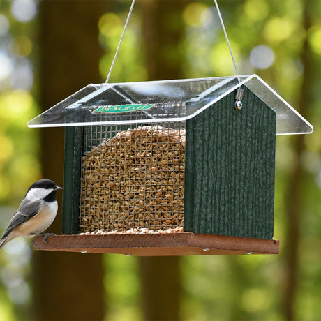 Bird feeder with bird seeds and a bird perched on it against a blurred natural background
