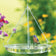 Clear hanging bird bath with bluebird perched on the rim, surrounded by colorful pink and yellow flowers in a sunny backyard garden.
