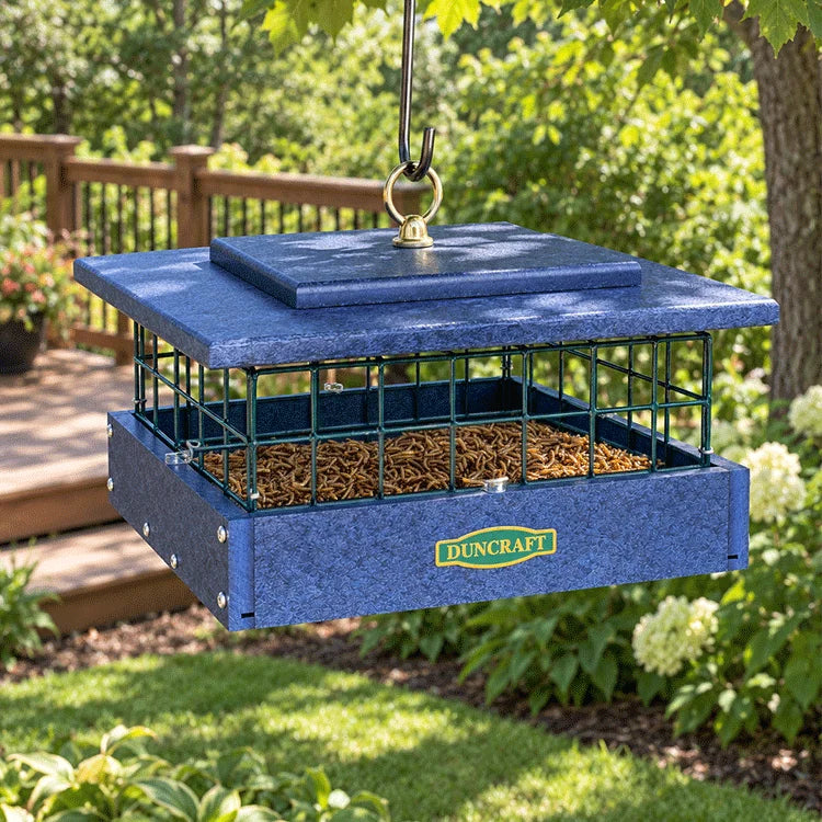 Blue Duncraft bird feeder filled with mealworms hangs in a lush garden, surrounded by greenery and a wooden deck in the background.