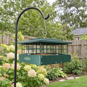 Green Duncraft covered mealworm feeder hanging from a shepherd’s hook in a landscaped backyard.