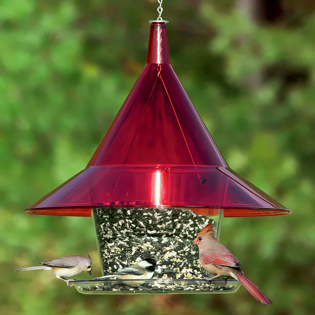 Arundale Ruby Sky Cafe bird feeder, red cone-topped, with mixed seeds. Three songbirds perch on tray: tufted titmouse, black-capped chickadee, female Northern cardinal.