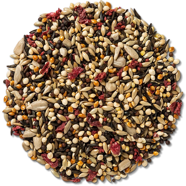 Brown's Fancy Finch with Cranberries Wild Bird Seed, 5-lb bag, featuring a mix of various seeds and dried cranberries for finch attraction.
