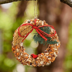 A birdseed wreath ornament hanging from a tree branch outdoors. The circular ornament is filled with mixed birdseed, nuts, and seeds, decorated with a red ribbon bow, green pine needles, and a small red bird figurine.