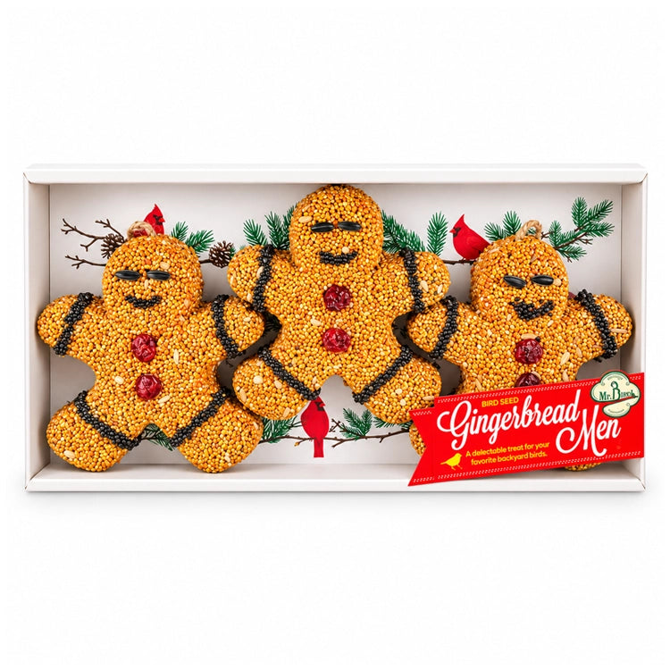 Gingerbread Men, Set of 3: Edible bird seed treats shaped like gingerbread men, boxed for gifting. Includes natural jute hanger, made with premium millet and berries.