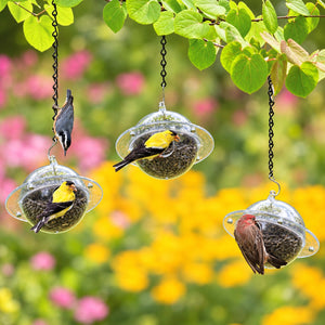 Duncraft Satellite, Set of 3: Clear plastic bird feeders with birds perched, featuring a 12-inch hanging chain, ideal for attracting smaller clinging birds.