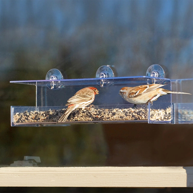 Duncraft Classic III Window Bird Feeder with birds feeding, clearview plastic, roof, perching space, and three suction cups attached to a window.