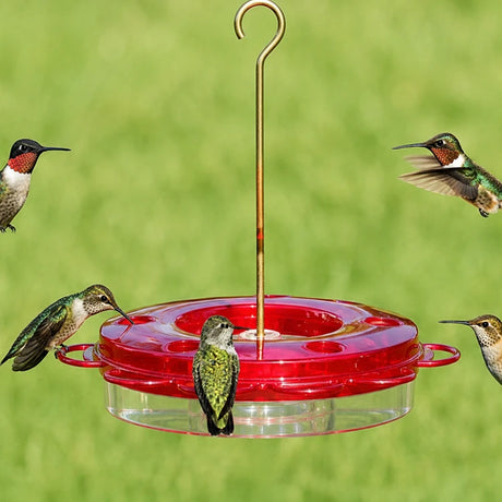 12 oz. Hummerfest Hummingbird Feeder with multiple feeding ports, hosting five hummingbirds, features rain overflow, ant moat, and clear basin for easy nectar viewing.