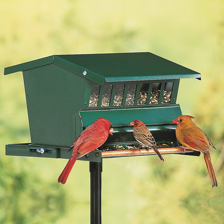 Squirrel Proof Bird Feeders