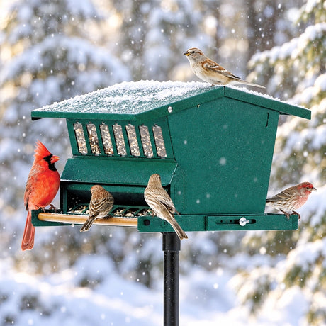 Original Absolute Bird Feeder with birds feeding, showcasing its squirrel-resistant design, weight-activated perch, and sturdy metal construction.