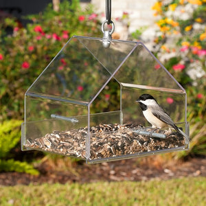 Duncraft Hanging Chalet bird feeder showing a bird perched inside. Clear plastic design for unobstructed viewing, with two perches and ample space for various bird foods.
