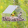 Duncraft Hanging Chalet bird feeder with a yellow bird perched inside, featuring clear plastic siding and two perches for easy bird viewing and feeding.
