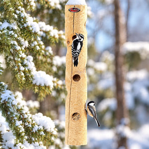 Downy woodpecker and chickadee feeding from a hanging cedar log suet feeder in snowy weather