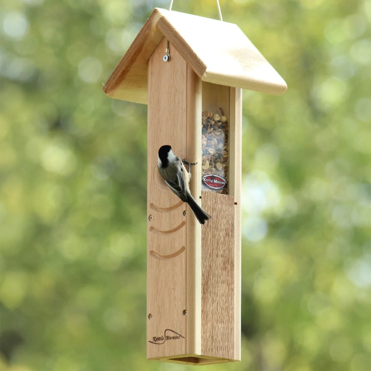 Black-capped chickadee feeding from a hanging cedar mealworm feeder with protective roof.
