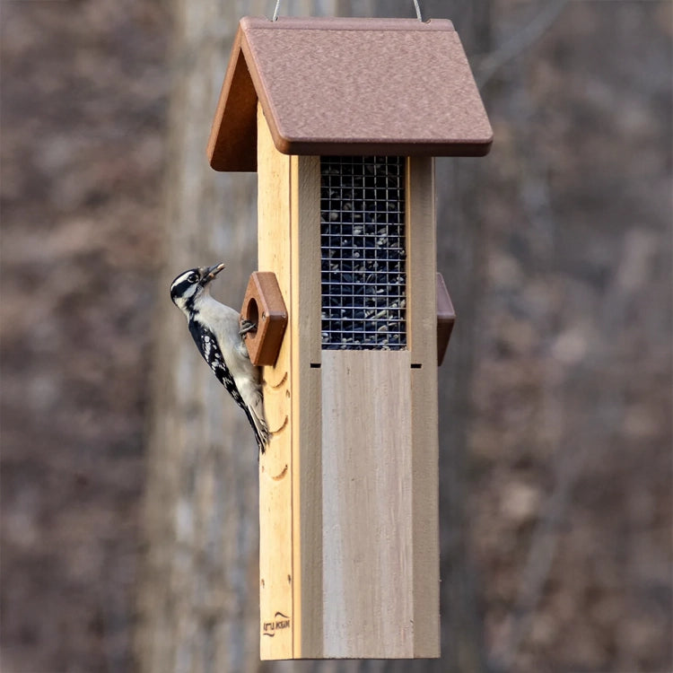 Downy woodpecker feeding from a hanging sunflower seed feeder in a woodland setting.