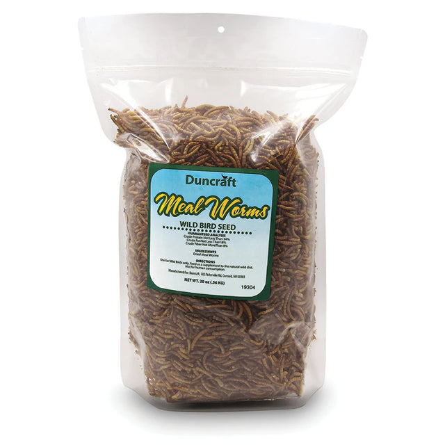 Duncraft Dried Mealworms, 20 oz. bag with clear label, offering a convenient, protein-rich treat for birds, no special storage needed.