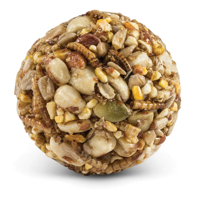 Duncraft Nuts & Bugs Wild Bird Seed Balls, featuring a mix of seeds, nuts, and mealworms bound in suet, perfect for attracting diverse birds year-round.