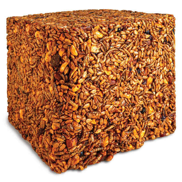 Sizzling Nuts & Bugs Jumbo Seed Block: a dense bird feed cake with seeds, mealworms, nuts, and fruit, designed to attract birds while deterring squirrels.