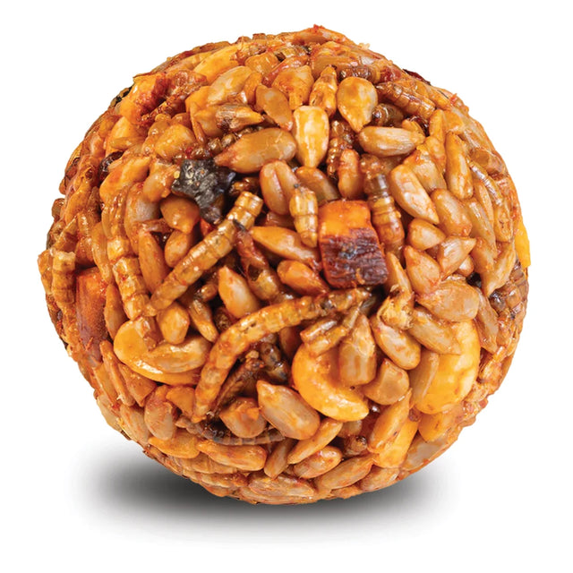 Sizzling Nuts & Bugs Seed Balls, compacted with seeds, nuts, mealworms, and fruit, designed for wild birds with capsaicin coating to deter squirrels. Set of six.