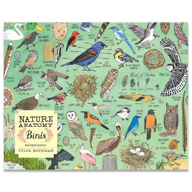 Nature Anatomy: Birds Puzzle 500 Pieces features illustrated birds, nests, and eggs by Julia Rothman, offering an engaging, educational experience for bird enthusiasts.