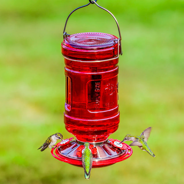 Water Cooler Style Glass Hummingbird Feeder with green hummingbirds at feeding ports, designed for easy cleaning and refilling, enhances backyard with elegant, functional design.