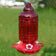 Antique Bird Cage Style Glass Hummingbird Feeder with vibrant red reservoir and three flower-shaped ports, designed for easy hanging and cleaning.