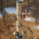 Aspects Large Spruce Tube Feeder with six perching areas, clearview plastic tube, and a quick-release base, shown with multiple birds feeding.