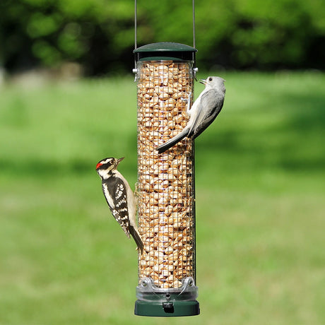 Aspects Quick Clean Peanut Mesh Feeder with woodpecker and songbird, showcasing sturdy mesh design filled with peanuts, ideal for attracting woodpeckers.