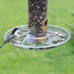 Aspects 10 Quick Clean Seed Tray attached to a bird feeder, with a bird perched on it, effectively catching scattered seeds.