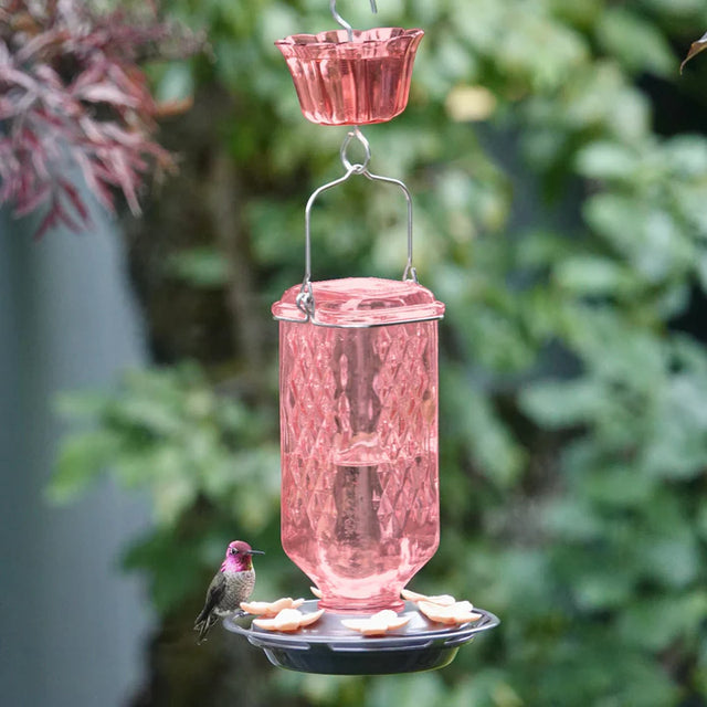 Rosewood Column Antique Hummingbird Feeder with ant moat hanging outdoors, featuring an embossed pink glass nectar reservoir and flower-shaped feeding ports.