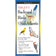 SIBLEY’S Backyard Birds of the Mid-Atlantic guide, waterproof and pocket-sized, featuring illustrations of common backyard birds and details on 78 species' behaviors and migration.