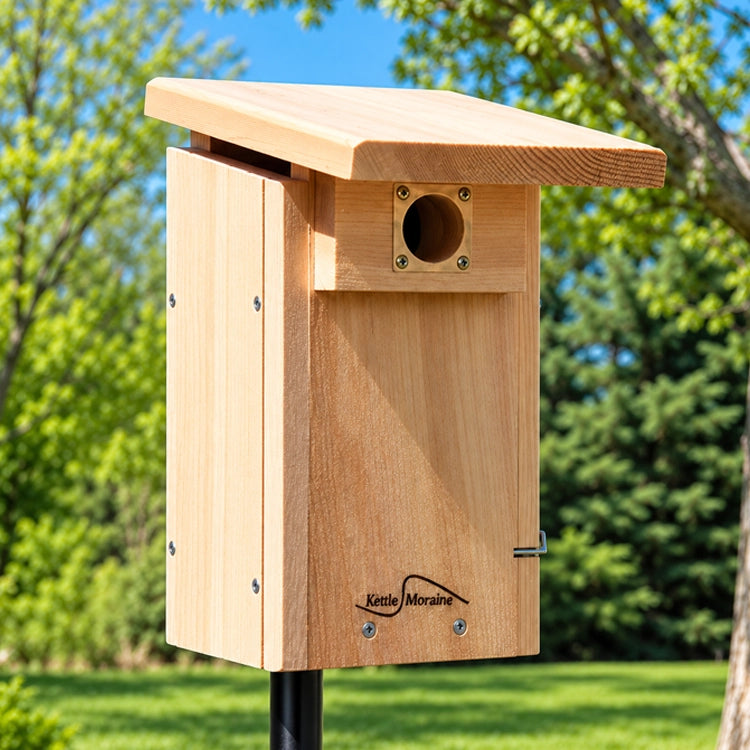 Cedar bluebird nest box mounted on a pole in an open grassy habitat.