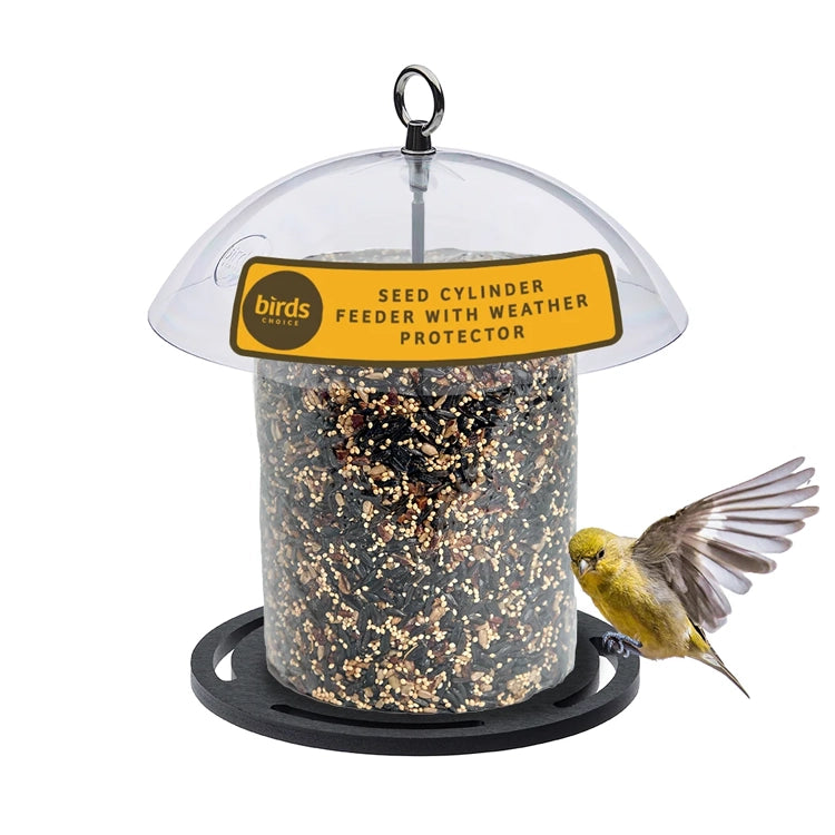 Birds Choice seed cylinder feeder with clear weather dome, black perch ring and a yellow songbird.