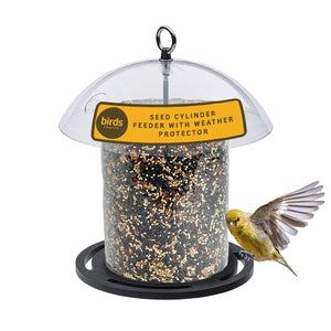 Birds Choice seed cylinder feeder with clear weather dome, black perch ring and a yellow songbird.