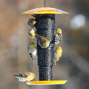 Sunflower Kernel Collapsible Diamond Mesh Feeder featuring a yellow top and black metal mesh, designed for clinging and perching birds, shown all over it. Holds 1 lb. of sunflower seed.