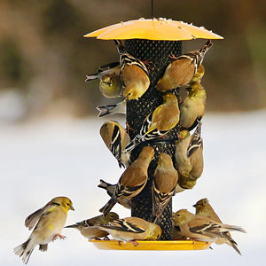 Sunflower Kernel Collapsible Diamond Mesh Feeder featuring a yellow top and black metal mesh, designed for clinging and perching birds, shown all over it. Holds 1 lb. of sunflower seed.