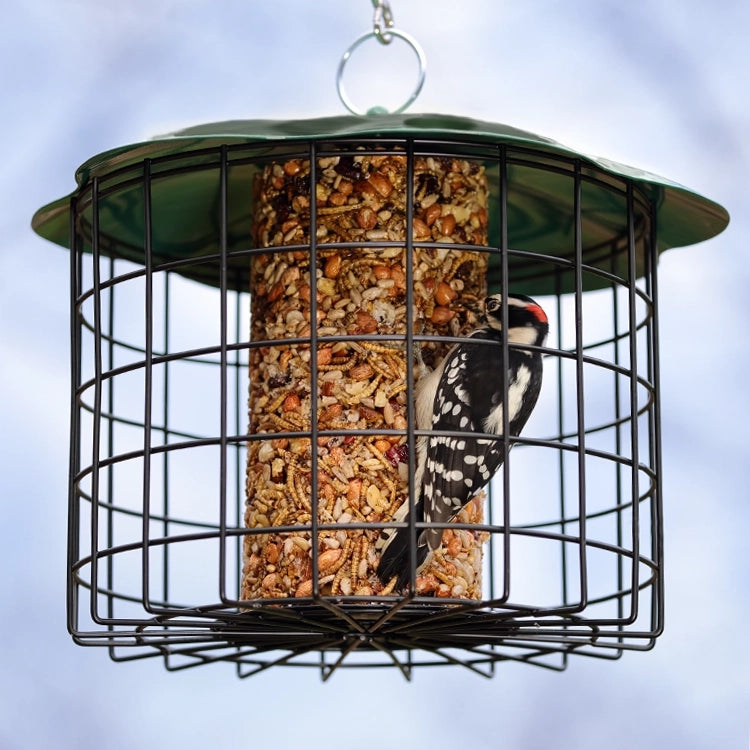 Male downy woodpecker on the Squirrel Defeater Seed Log Bird Feeder with a suet/seed cylinder inside a metal cage designed to deter squirrels.