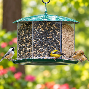 Triple Option Bird Feeder with three seed compartments, hosting sunflower and mixed seeds, attracting goldfinches and chickadees, showcasing six perches for simultaneous feeding.